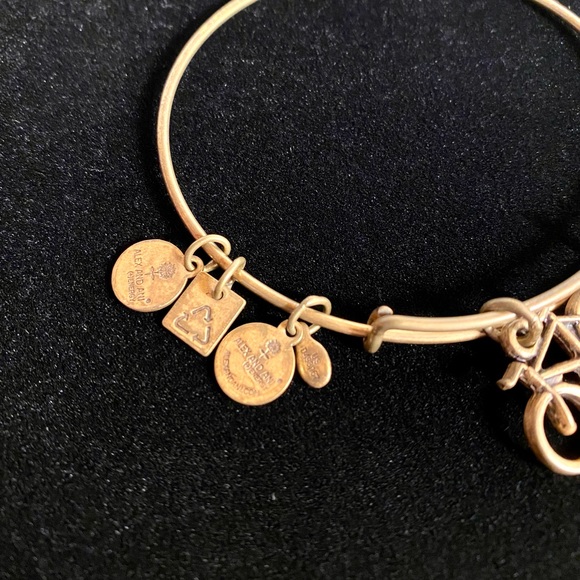 Alex and Ani Charity by Design Bike Rafaelian Gold Bangle Bracelet - Picture 7 of 14